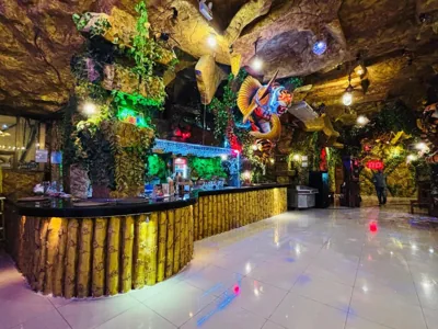 Tiger Complex Inn – Photos 9